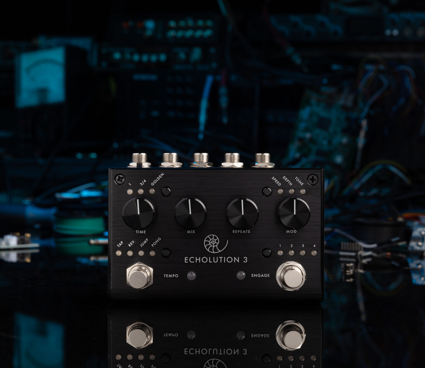 Echolution 3 Pigtronix